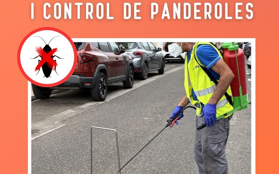 Reforcem les actuacions contra panderoles i mosquits per a evitar-ne la proliferació als embornals i a la xarxa de clavegueram municipal
