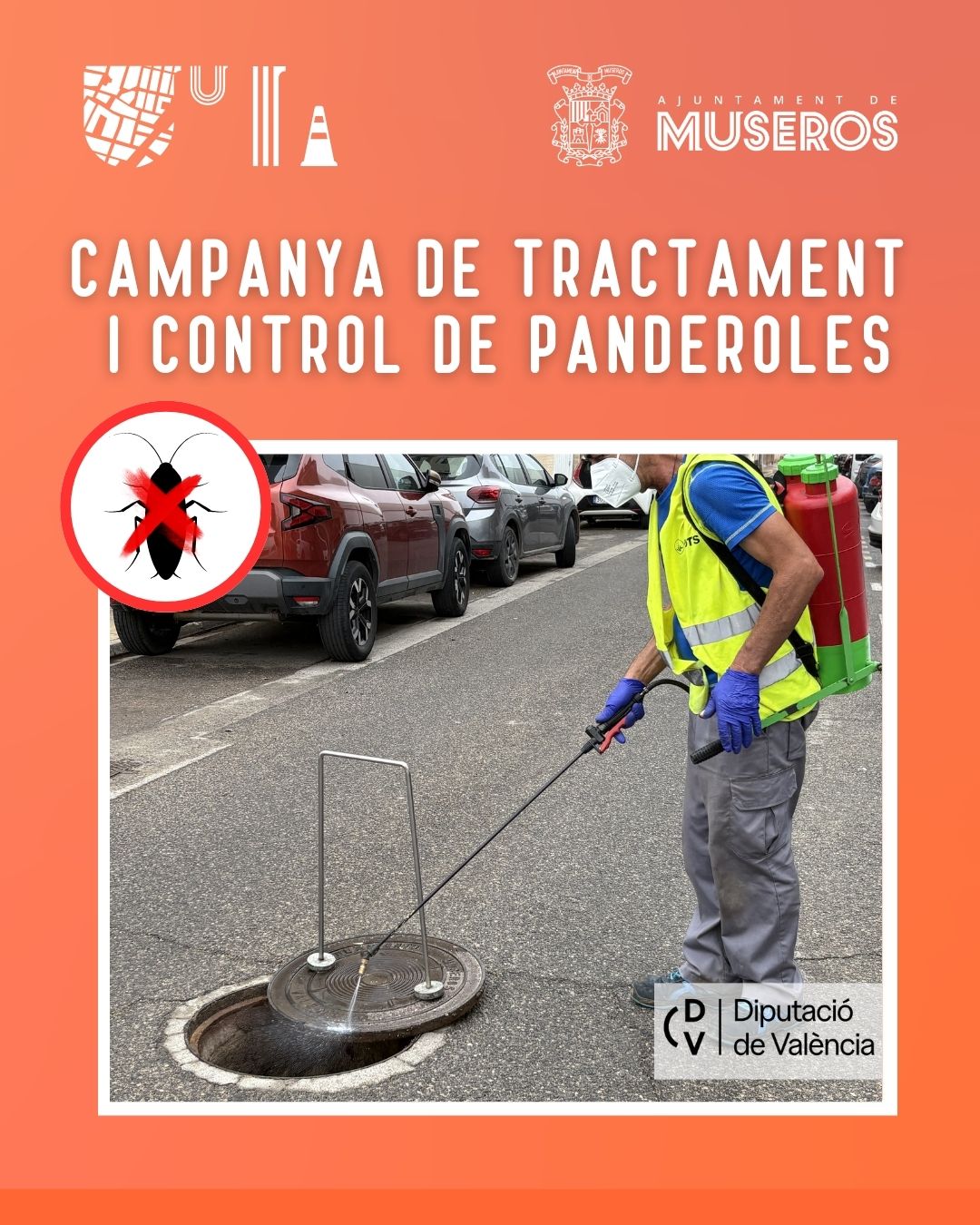 campanya tractament i control de panderoles 2026